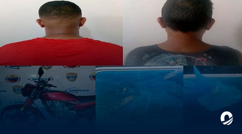 Detenidos dos hombres por presunto microtráfico de droga en Carúpano