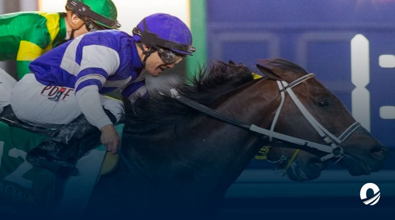 Jinete venezolano ganó la carrera de caballos más cara del mundo