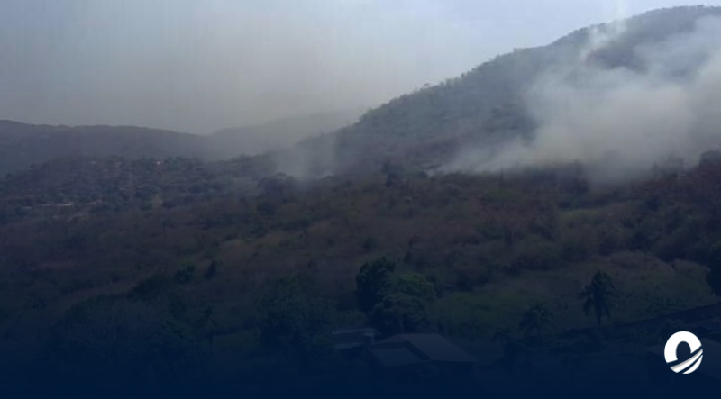ANZOÁTEGUI | Habitantes de Canta Claro denunciaron quema arbitraria de vegetación