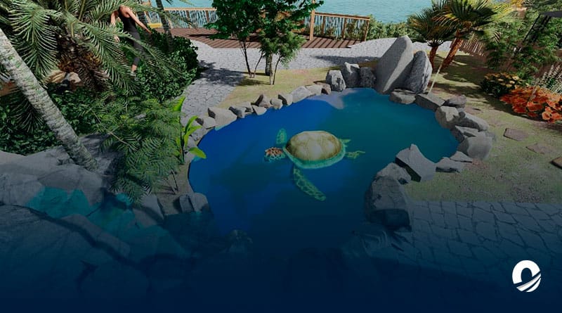 NUEVA ESPARTA | Primer santuario de fauna marina de Venezuela será construido en Pampatar