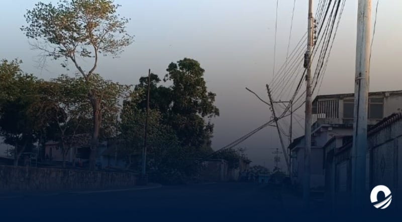 ANZOÁTEGUI | 180 familias en el municipio Bruzual sufrieron apagón por la caída de un árbol