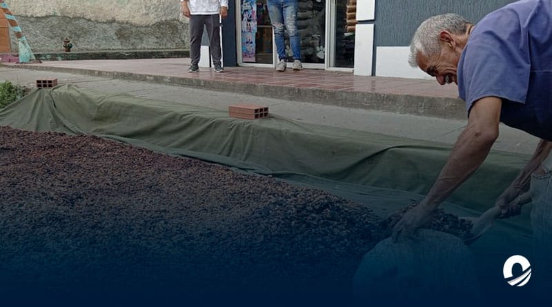 SUCRE | Asoprocave propuso asignar recursos al sector cacaotero desde el presupuesto nacional