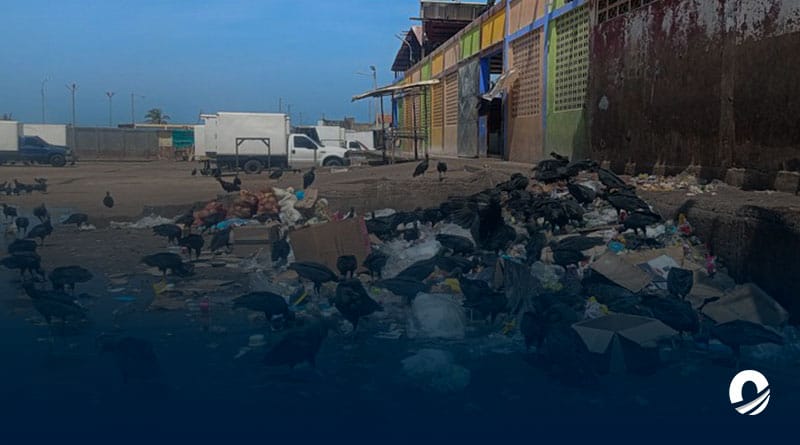 SUCRE | Vendedores del mercado municipal de Carúpano denunciaron condiciones insalubres