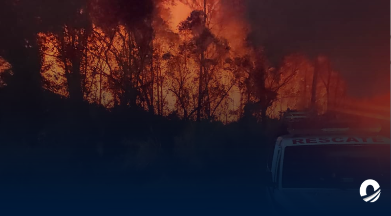 Incendio forestal en la sede de Pdvsa Intevep puso en riesgo comunidades cercanas