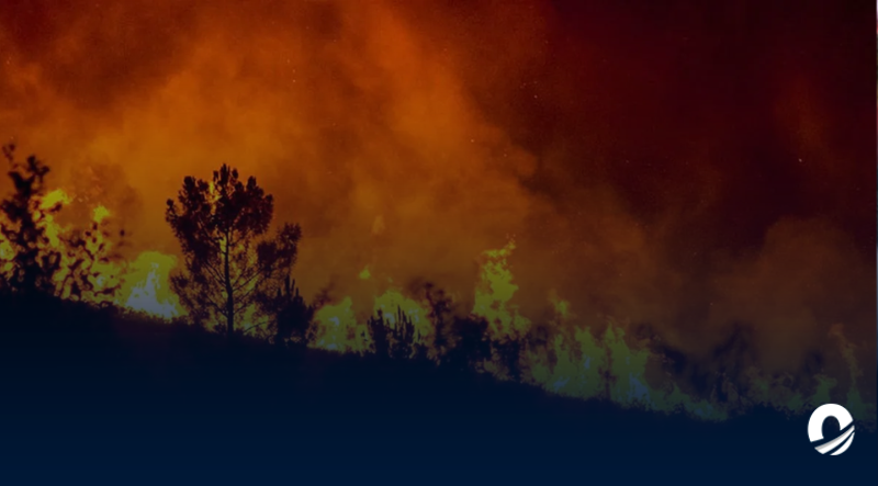 Incendio consumió las inmediaciones de la empresa Pet Caribe en Carabobo