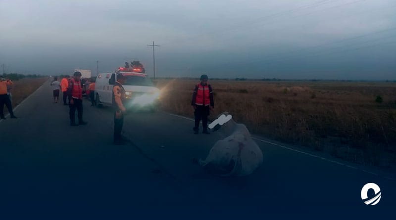 Tres hombres resultaron heridos tras impactar su carro contra una vaca