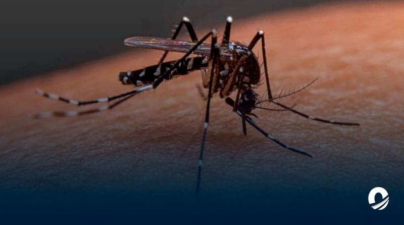 Academia de Medicina solicitó al Ministerio de Salud cifras de casos de dengue