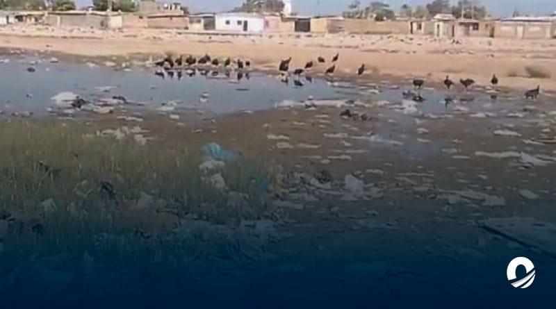 SUCRE | Habitantes de Brisas del Aeropuerto denunciaron foco de contaminación por basura