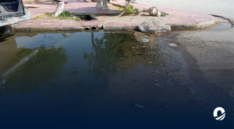 SUCRE | Habitantes de la calle castillo en Araya denunciaron colapso del sistema cloacal