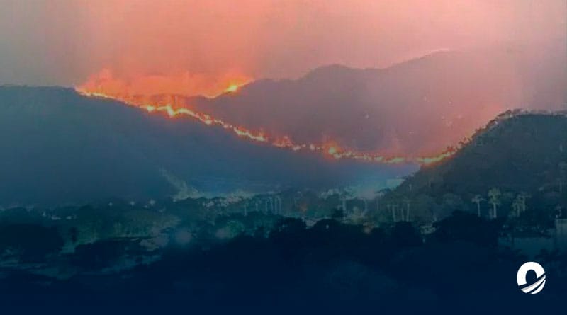 Ministerio de Ecosocialismo: Más de 16 mil hectáreas han sido consumidas por incendios forestales