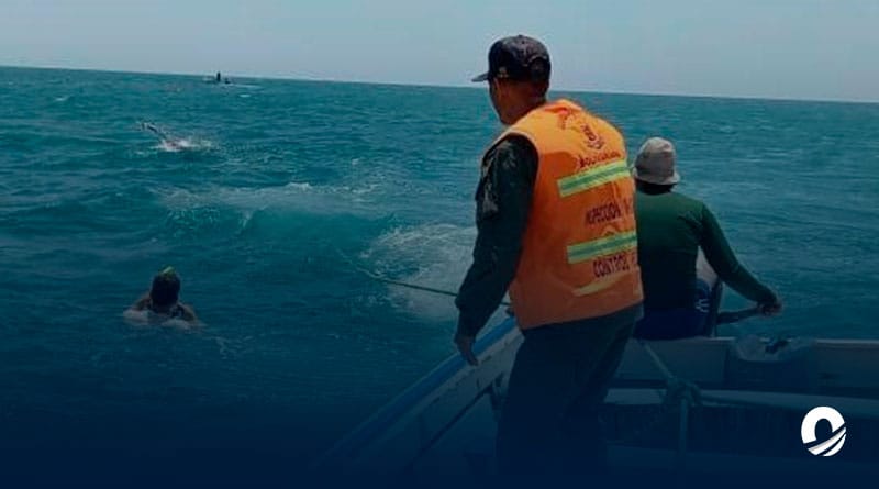NUEVA ESPARTA | Autoridades retomaron búsqueda de buzo desaparecido