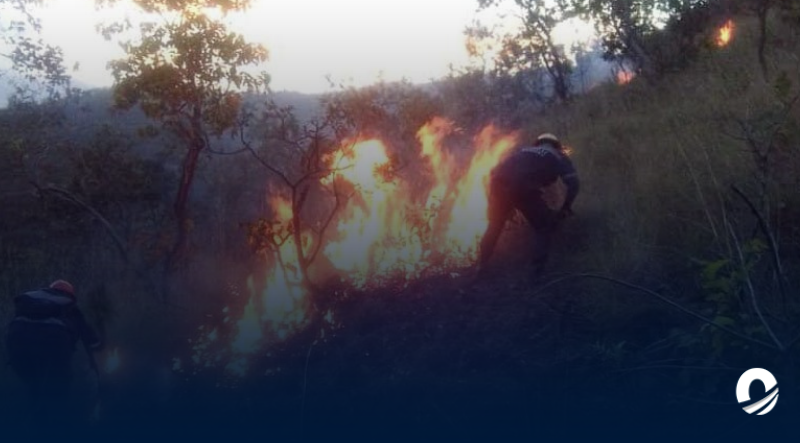 SUCRE | Más de 500 incendios forestales se han registrado en Sucre durante el 2024