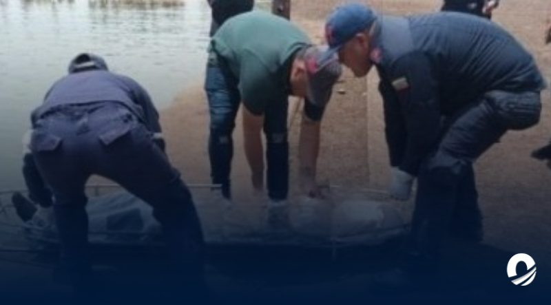 Adolescente perdió la vida tras lanzarse de un muelle en el Zulia