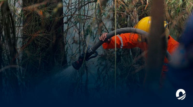 Venezuela registró récord de incendios forestales por sequía según Inpe