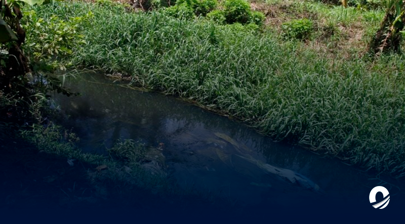 MONAGAS | Vecinos denunciaron ausencia de saneamiento en el caño de 5 de julio