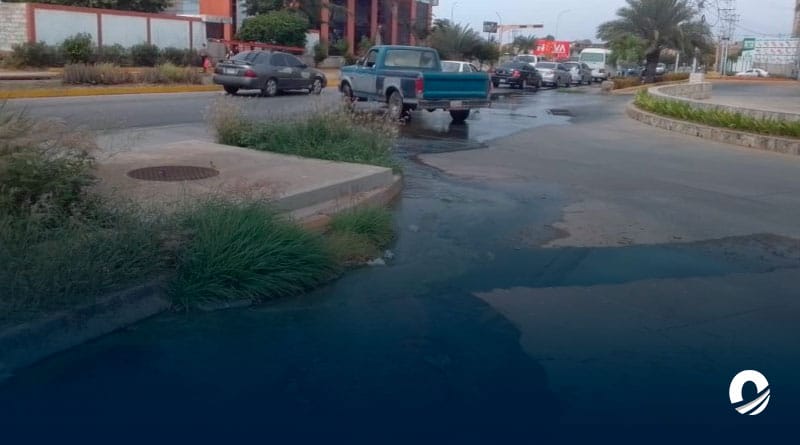 NUEVA ESPARTA | Comerciantes del C.C Terranova Plaza se ven afectados por desborde de aguas negras