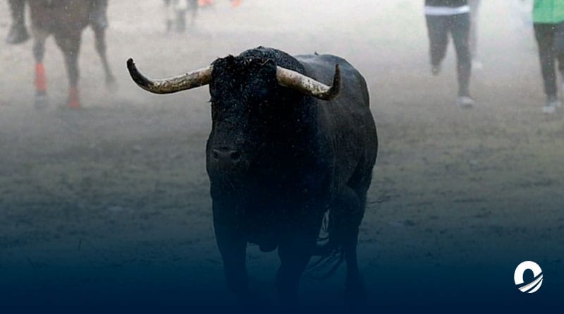 Productor agropecuario falleció en Mérida tras ser atacado por un toro