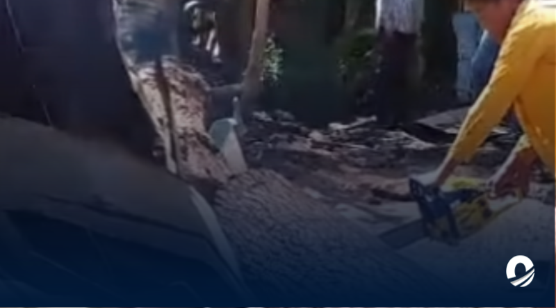 Árbol cedió y afectó una vivienda del sector Los Molinos de Cumaná