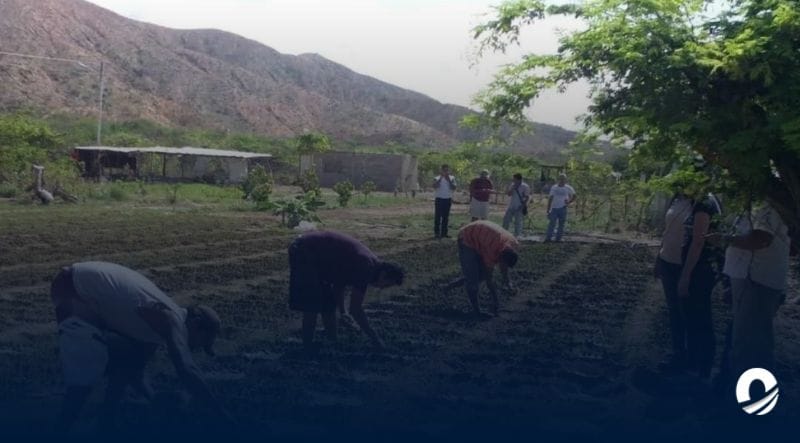 SUCRE | Gremio agricultor demandó mejores condiciones para la siembra segura en oriente