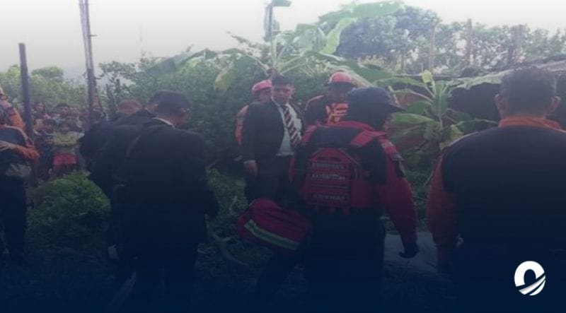 Niño de 11 años perdió la vida en Anzoátegui al caerle una rama encima