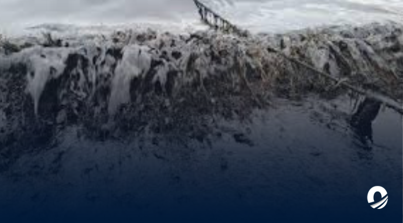 Derrame petrolero de Falcón podría afectar al Parque Nacional Morrocoy, señalaron especialistas