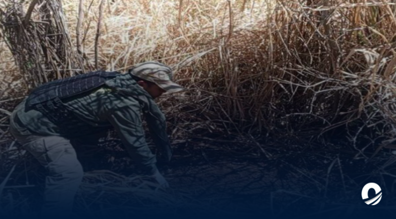 Adolescente asesinó a su vecina por un 'ritual satánico'