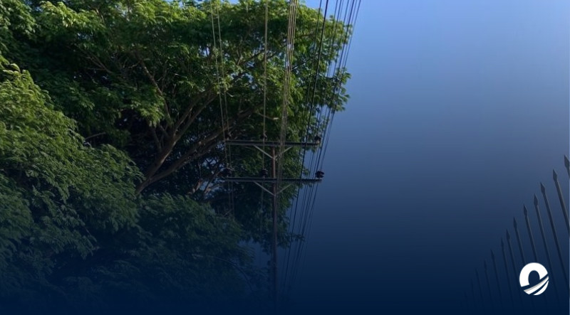 ANZOÁTEGUI | Habitantes de Viento Fresco exigieron plan de pica y poda