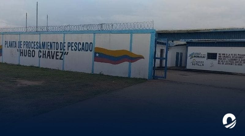 MONAGAS | Planta procesadora de pescado en Sotillo iniciará exportaciones a Colombia