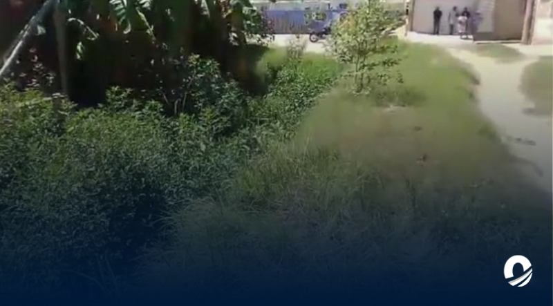 Sucre | Habitantes de El Pozo claman saneamiento del canal de la zona 