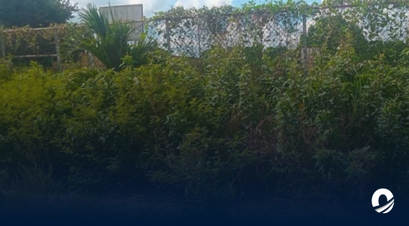 ANZOÁTEGUI | Vecinos de Villa Hermosa exigieron limpieza de la cancha deportiva