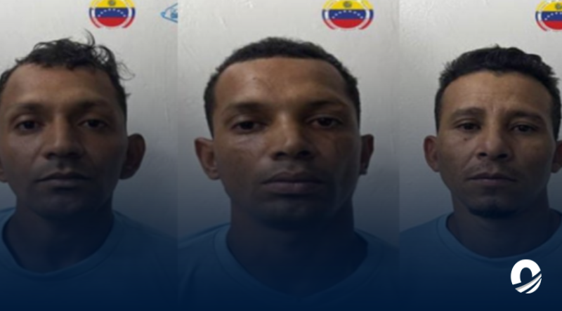 Desarticularon banda delictiva dedicada al hurto de cableado telefónico en Caracas