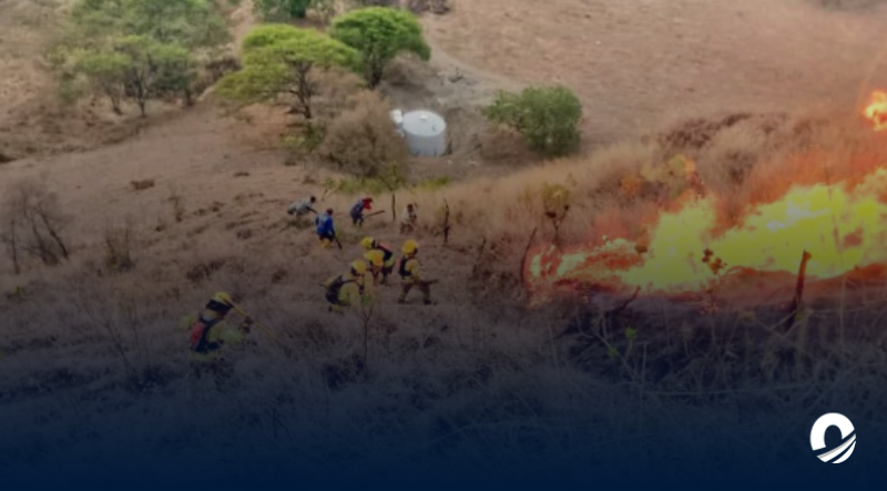 Ecuador declaró estado de emergencia nacional por incendios forestales y sequía