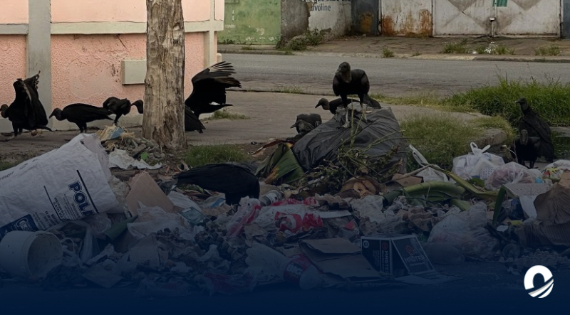 SUCRE | Habitantes del sector 4 de La Llanada denunciaron deficiencias en el aseo urbano 