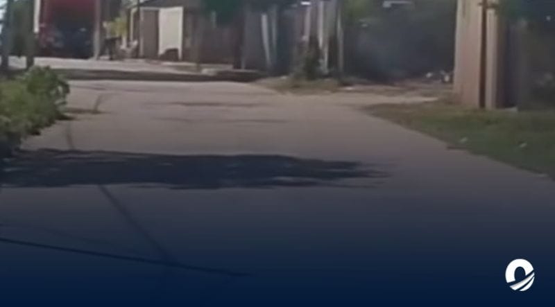 NUEVA ESPARTA | Vecinos de la calle El Moro denunciaron que el aseo urbano no pasa por la zona