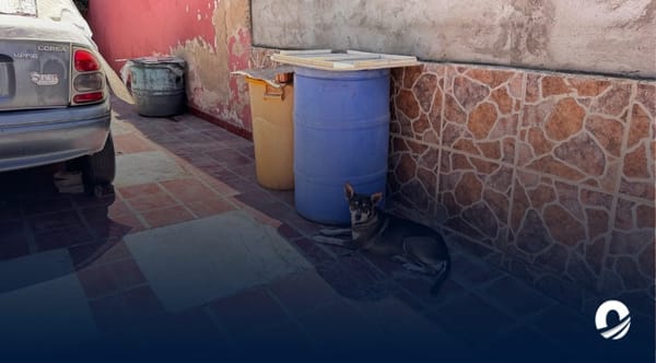 SUCRE | Residentes de Cascajal denunciaron más de ocho años con irregularidades hídricas