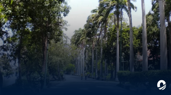 SUCRE | Colapso del tendido eléctrico persiste en el Parque Ayacucho: exigen acción gubernamental