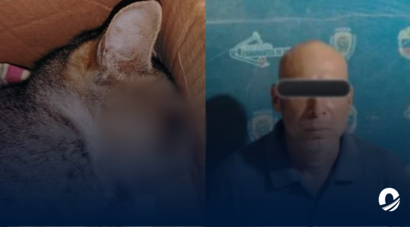 Capturaron a un hombre por agredir a un gato bajo efectos del alcohol en Monagas