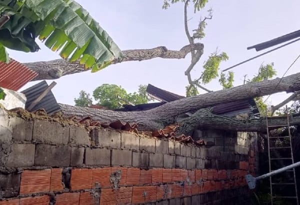 Fuertes lluvias causaron afectaciones en tres viviendas en Maturín