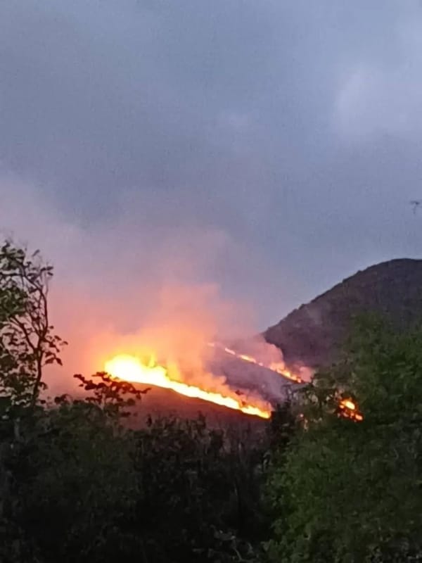 NUEVA ESPARTA | Residentes de Tacarigua reportaron incendio en cerro de la localidad