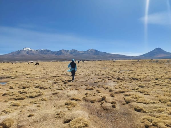 Venezolano murió mientras intentaba cruzar la frontera entre Bolivia y Chile