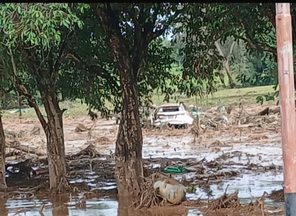 Hallaron muerto a hombre desaparecido por inundaciones en el estado Portuguesa