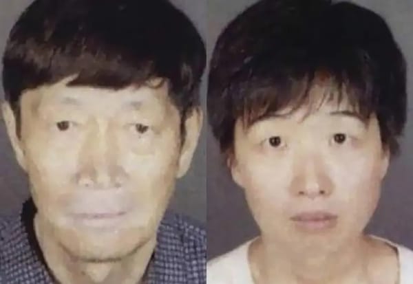 Detenida pareja en EE.UU. que tenía 21 hijos concebidos por vientres de alquiler