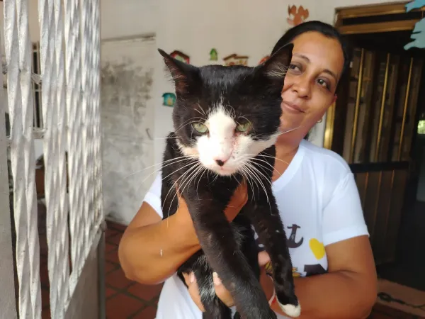 MONAGAS | Habitantes de La Murallita de Maturín denunciaron envenenamiento y quema de gatos