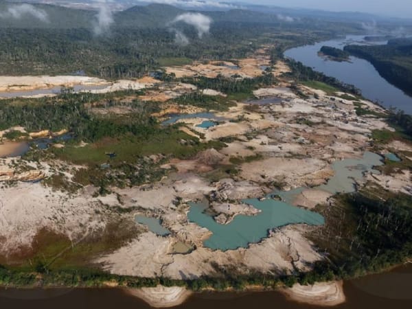 Minería ilegal fue el principal problema ambiental del país en 2024, según ONG