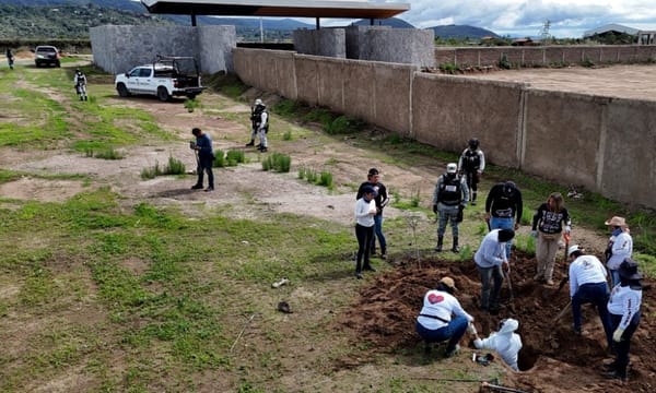 Hallaron 12 bolsas con restos humanos enterrados en una fosa clandestina en México