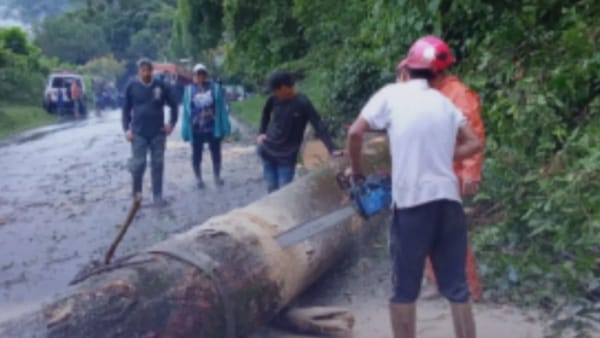 Niño murió electrocutado al caerle un cable de alta tensión en Portuguesa
