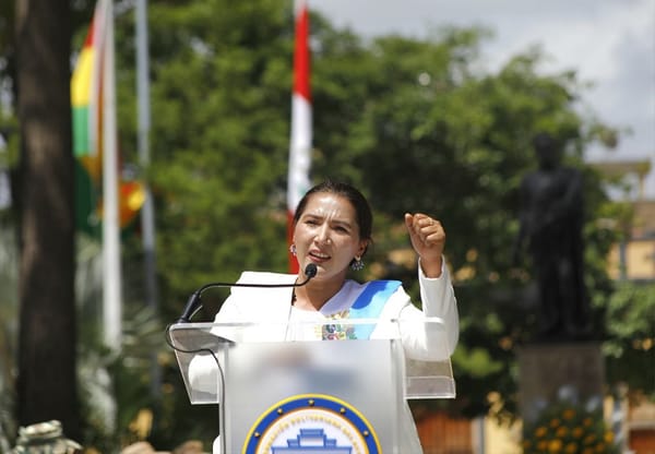 Mandataria Jhoanna Carrillo fue elegida como representante de gobernaciones en Consejo Federal de Gobierno