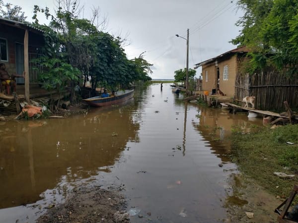 Alertan sobre proliferación de mosquitos en Bolívar a causa de las inundaciones
