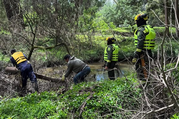 Colombia: Hallaron sin vida a niña con Síndrome de Down reportada como desaparecida