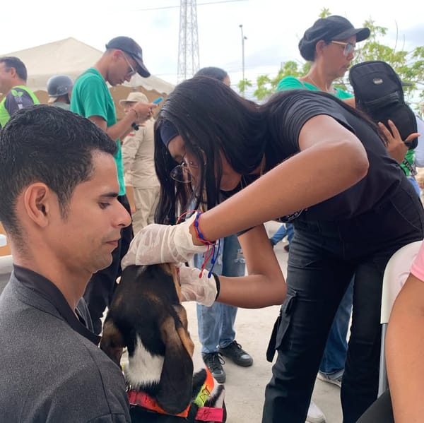 SUCRE | Misión Nevado realizará nueva jornada de atención para mascotas en Cumaná